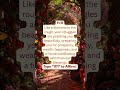 1111 Angel Number Brings Wealth #manifestation