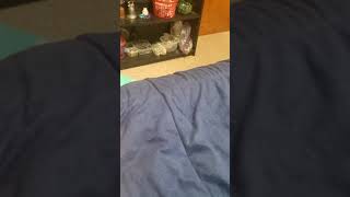 Who Do You Ship From Super Sentai