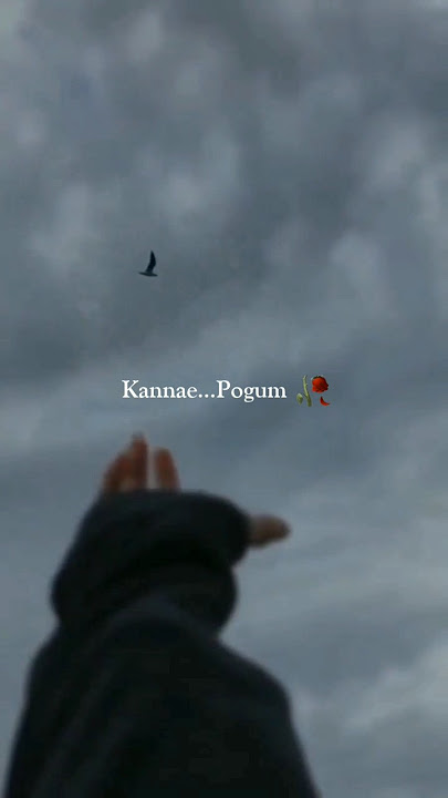 Kanne 🦋pogum😥idamellaam🌟 Unnai Katril Unarthen 🥀 song whatsapp statusTere Vaste 💘 female version..