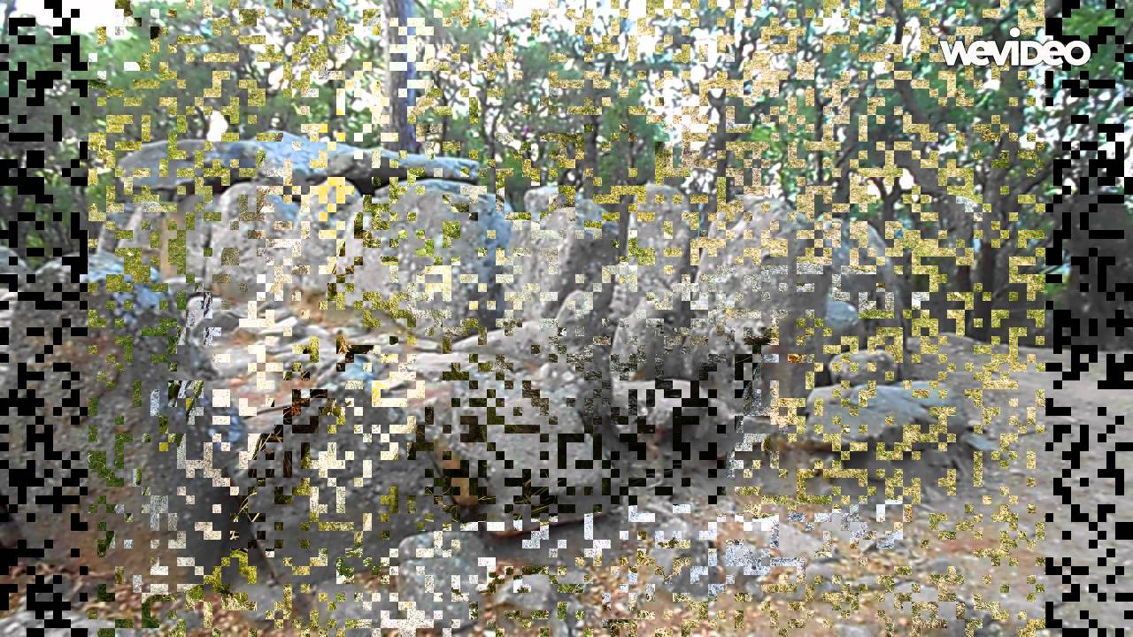 Els megàlits. El dolmen (La Cova d'en Daina)