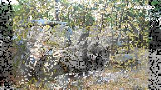 Els megàlits. El dolmen (La Cova d'en Daina)