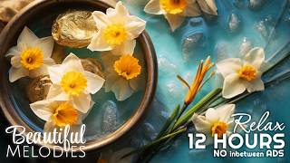 Healing Inner Anger & Sorrow Removal 🌿 Ultra Relaxing Music for Stress & Anxiety