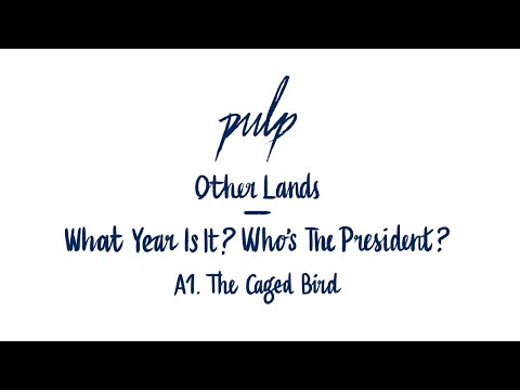 Other Lands — Other Lands - The Caged Bird (What Year Is It? Who's The President?) [PULP13]