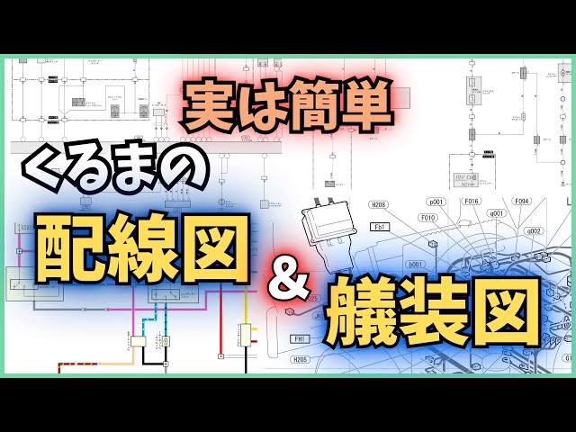 Keeper Edition] Improve the quality of your diagnosis! ・Basics of
