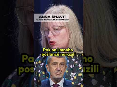 Anna Shavit: "Andrej BABIŠ nerozumí sněmovně."