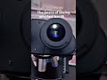 The peace of seeing acid fast bacilli#microbiology#testing Microscope#viral #srhu