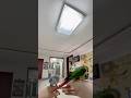 At the owner's command, two parrots flew over. #birds #parrot #cute #parrots #pets #shorts