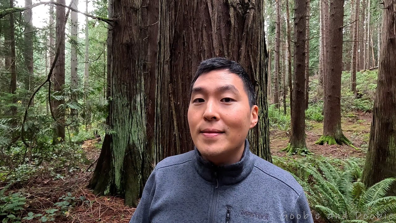 Я пытаюсь избавиться от промывки мозгов самому себе.