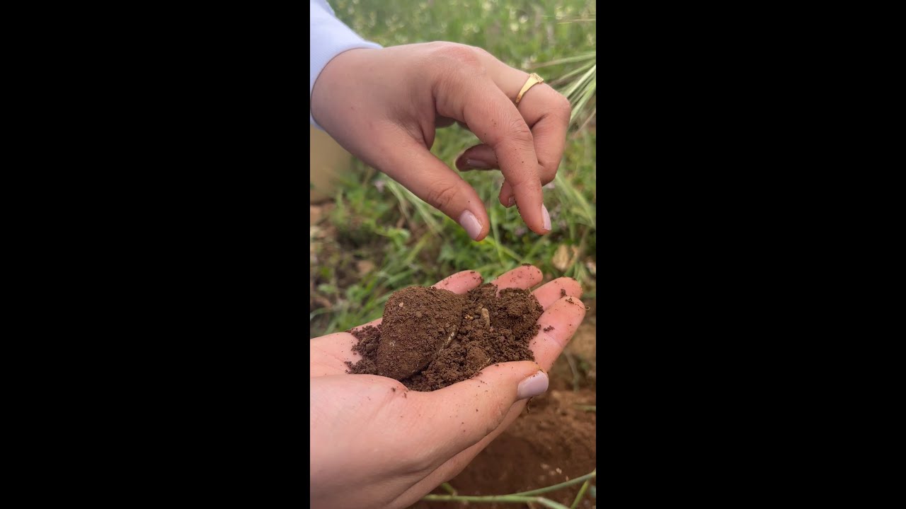 تحليل التربة و المياه أساس نجاح المشروع الفلاحي