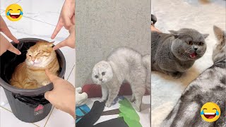 New Funny Animals 🤣 Funniest Cats and Dogs Videos 😆 | BY FUNNY US TIKTOK PART 1