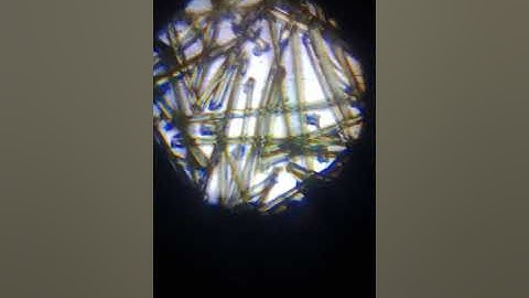 (THREAD) Dhaga IN Microscope 😱 Experiment at Home #threads #microscope #expriment 