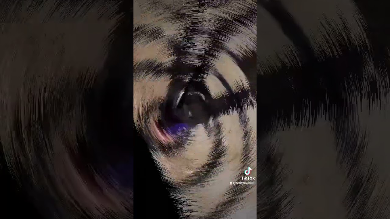 Happy International Knife Throwing Day!🗡