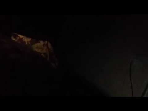 ალუჩა სთორი