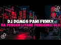 DJ DUMES || RA PENGEN LIYANE PENGENKU SIJI MUNG KOWE JEDAG JEDUG MENGKANE VIRAL TIKTOK BY PANI FVNKY