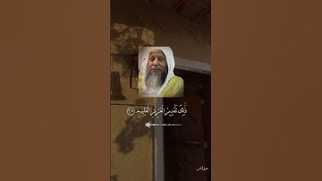 تلاوة للشيخ محمد أيوب لسورة يس من آيه (٣٦-٤٠)
