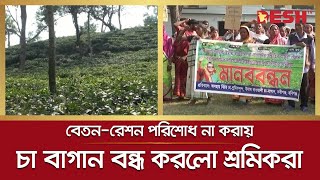 বেতন-রেশন পরিশোধ না করায় বাগান বন্ধ করে দিলো চা শ্রমিকরা | Habiganj | Tea Garden