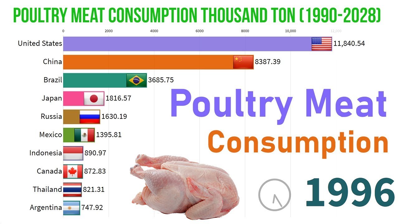 Most Poultry Meat Consuming Countries & Projection (1990 2028) YouTube