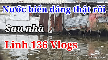 Lũ Lụt Ở Miền Trung Còn Cà Mau Nước Dâng Ngập Mênh Mông - Linh 136 Vlogs