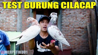 Download Lagu GOKIL!! SI JAMBUL TURUNYA ATAS KEPALA MP3