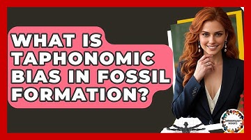 What Is Taphonomic Bias In Fossil Formation? - Anthropology Insights