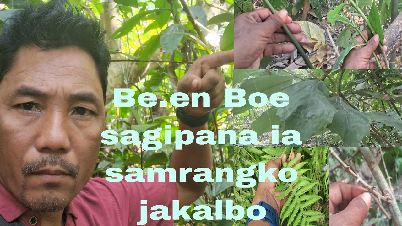 February 23, 2026-Be.en bone sagipana sam sikiata videoko bone nibo