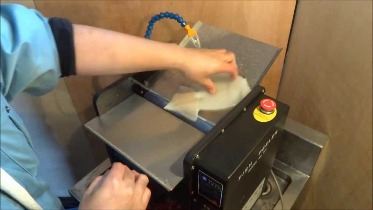 太洋興業 フィッシュピーラー イカ 魚皮むき機 Youtube 太洋興業 フィッシュピーラー イカ 魚皮むき機 Youtube