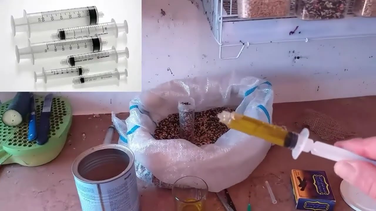 دواء سحري ليطيور لي جميع امراض