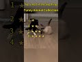 Cat #funnycat #pet #fyp #funnyvideos#catsoftiktok#cute#kitten#cat #funny #foyou #petsoftiktok#tiktok