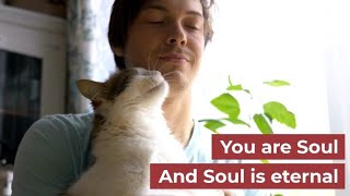 You Are Soul and So Are Cats!