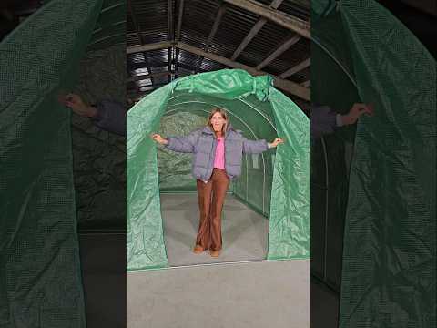 Теплиця парник Avko Garden 10 м² 4×2,5×2 м з вікнами та армованою плівкою — теплиця для саду та городу, видео 1