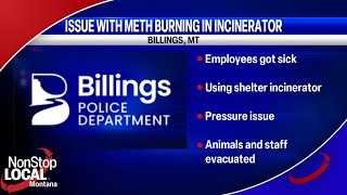 Yellowstone Animal Shelter Employees Sickened by Burning Meth