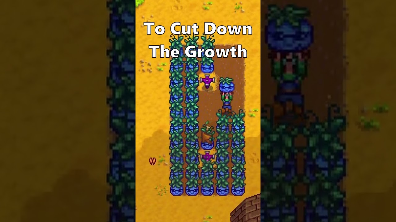 How To BEAT Qi's Crop Challenge 😎