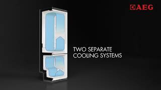 AEG TwinTech System