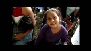 Inicio Dvd Doki Descubre 2010