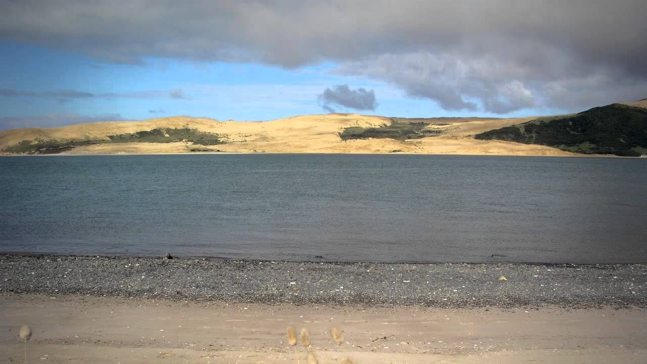 Opononi, home of Opo - Roadside Stories