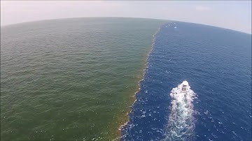 AMAZING! Gulf of Alaska where two oceans meet but never mix! 🌊