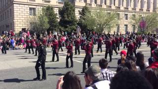 National Cherry Blossom Festival Parade - Washington DC, 2015