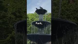 Discover NYC's Hidden Gems! | Full Tour of New York City's Best Kept Secrets#NYCHiddenGems #Explore