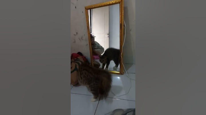 Ketemu Lawan Sepadan