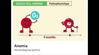 Hematological