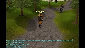 we need help for gta samp internal errors