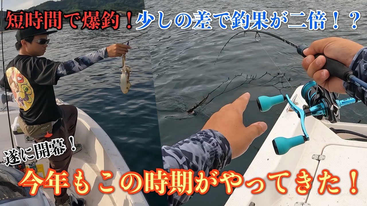 Squid fishing has finally begun! A huge catch in a short