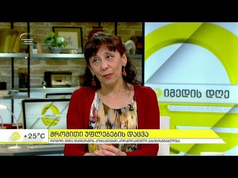 როგორ უნდა დაინერგოს კომპანიებში კორპორაციული პასუხისმგებლობა - შრომითი უფლებების დაცვა