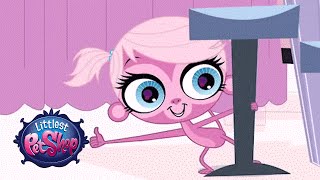 Littlest Pet Shop Meet Minka