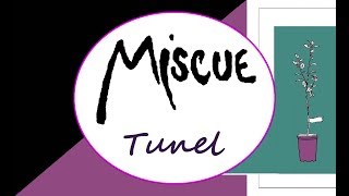 Miscue - Tunel (Studentský majáles 2019)