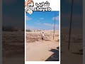 كوميديا الشايب شايب Shayeb 