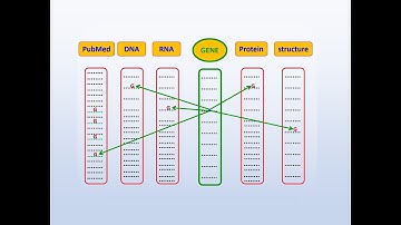 Bioinf Class 2C,  Overview of 
