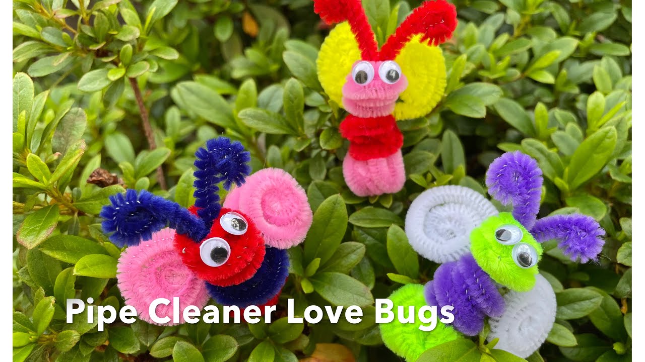 Pipe Cleaner Valentine Love Bugs Craft YouTube