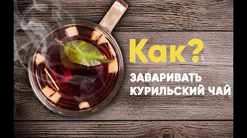 Как заваривать Курильский (лапчатка) чай