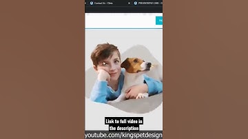 Create A Medical Clinic Website With WordPress Offline - Veterinary Clinic Website Design